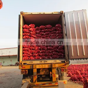 Many Types Red Onions From Onion Exporters China thumbnail-1