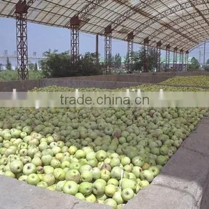 Apple Juice Processing Line thumbnail-3