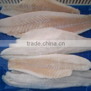 Frozen Catfish Fillet thumbnail-1