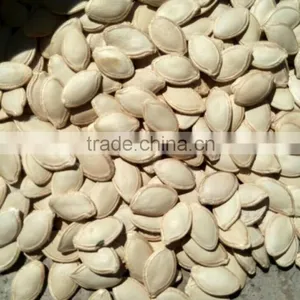 Competitive Price~ 2015 New Crop Shine Skin Pumpkin Seeds,kernels thumbnail-2