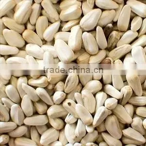 Safflower Seeds thumbnail-1