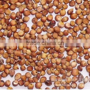 Red Sorghum Market Price With New Crop thumbnail-2