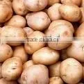 Fresh Potato Buyers thumbnail-1