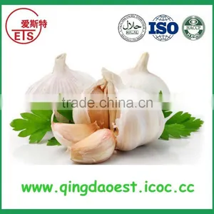 Jining White Garlic in Mesh Bag or Carton to Singapore thumbnail-1