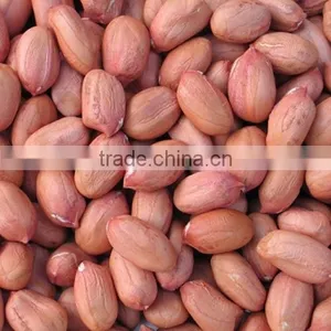 Peanut Supplier thumbnail-1