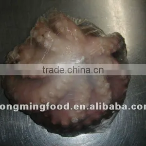 IQF Frozen Octopus thumbnail-1