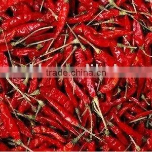 Dehydrated Red Chilli thumbnail-1
