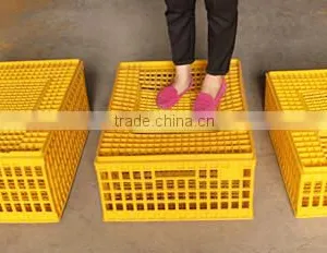 Chicken Farms Poultry Poultry Transport Cage /box ,chicken Transport Crates for Sale thumbnail-2