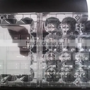 12 Quail Eggs Clear Pet Plastic Egg Carton/quail Egg Trays/packing Quail Egg Trays thumbnail-3