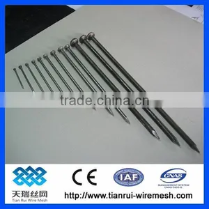Common Wire Nail/polished Common Nail/bright Common Nail thumbnail-1