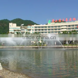 Large Scale Musical Dancing Fountain Project thumbnail-3