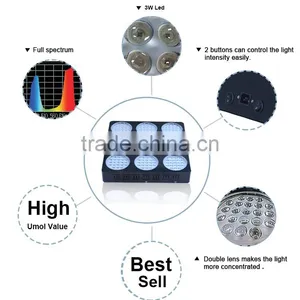 Aaa Quality High Power Tamato Seeds From Shenzhen Factory thumbnail-4