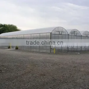 Galvanized Steel Tube Farm Polycarbonate Sheet Greenhouse thumbnail-1
