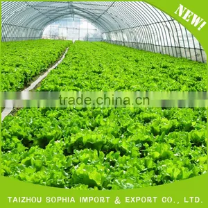 Made in China Superior Quality Anti-UV Plastic Film thumbnail-4