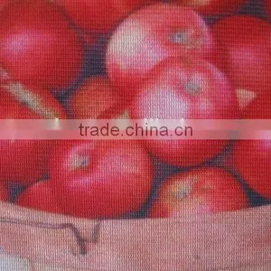 PVC Vinly for Famous Fruit Paintings/ PVC Adhesive Vinyl Sticker thumbnail-1