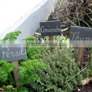 Natural Slate Stick for Garden Yard thumbnail-1