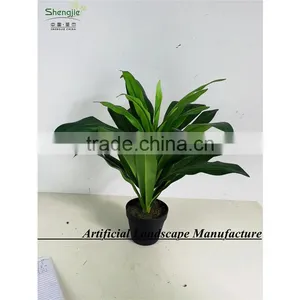 SAS201604 Cheap Artificial Green Plant Bonsai,Indoor Decor Green Plants thumbnail-4