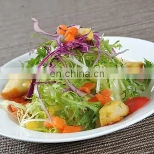 Salad Cutter Bowl thumbnail-1