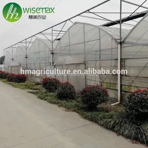 China Factory Plastic Film Covering Multi Span Tunnel Greenhouse thumbnail-1