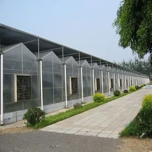 Seedling Greenhouse Covered by PC Sheet thumbnail-5