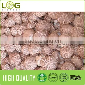 Hot Sale Smooth Surface Fresh Shiitake Mushroom thumbnail-4