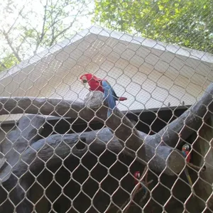 Custom Cut Stainless Steel Rope Mesh With Bending and Welding Services thumbnail-4