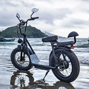 Two Wheels 1000W 20inch Fat Tire Electric Scooter thumbnail-2