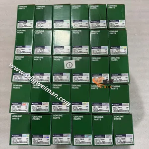 Hyundai Filter Fuel 11E1-70210 11NA-70110 11E1-70010 for Hyundai Excavator thumbnail-1