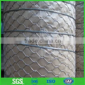 Hexagonal Wire Mesh for Chicken Breeding thumbnail-1
