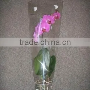 PVC Transparent Tube,flower Tube, Eco-friendly Material thumbnail-1