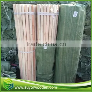 120x2.2cm Smooth Natural Broom Stick Hot Sell to Dominica thumbnail-5