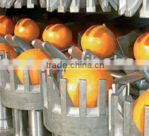 Fruit Paste Production Line thumbnail-1