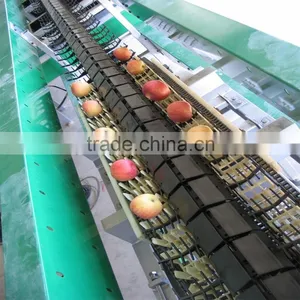 Weigher Type Sorting Machine thumbnail-1