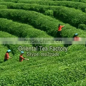 China Supplier Hangzhou Factory Organic Foods Weight Loss Slimming thumbnail-3