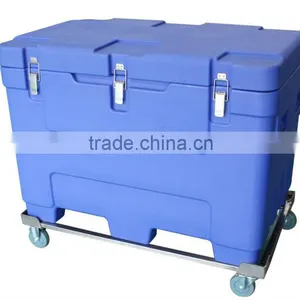 Dry Ice Transportation Container-Isothermal Bac Container - SCC Cold Logistics thumbnail-1