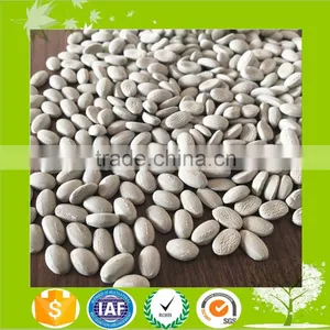 Plastic Desiccant Masterbatch for Ldpe Hdpe Lldpe Recycled Masterbatch thumbnail-6