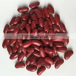 Canned Red White Kidney Bean 400g, Canned Baked Bean thumbnail-1