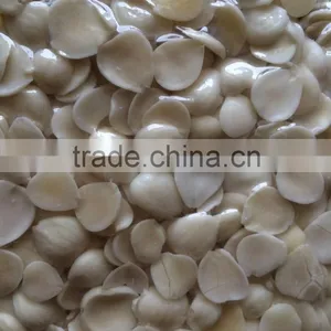 Supply Good Quality Blanched Apricot Kernels Guangzhong Type thumbnail-3