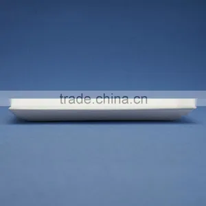 F1-PL-07-R 7*3.5 Inches Bleached Disposable Flate Rectangle Shape Sugarcane Dinner Plates thumbnail-2