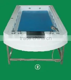 JAZZI Spa Sitting Pattern Massage Water Bed 080602 thumbnail-1