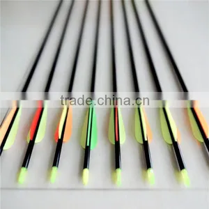 Archery Arrow for Shooting thumbnail-1