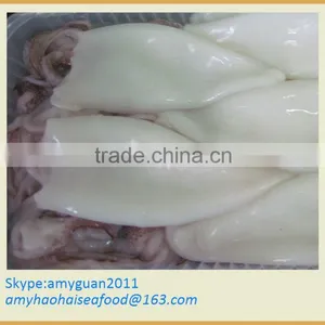 Frozen Squid T+T Size 3/5 (Loligo Chinese) thumbnail-1