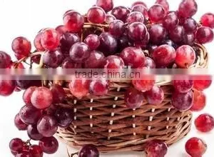 Fruit Wicker Basket /flower Basket for Wedding/handmade Flower Basket thumbnail-2
