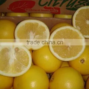 Yellow Grapefruit thumbnail-1