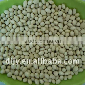 Navy White Kidney Beans thumbnail-1