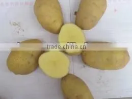 Export Potatoes thumbnail-1