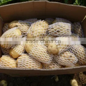 NEW CROP OF FRESH POTATO LIGHT YELLOW HOLLAND TYPE thumbnail-1