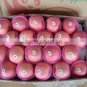 Fresh Apple Fruit Packaging thumbnail-1