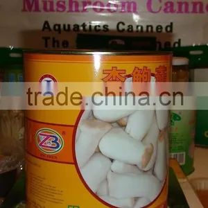 Canned Pleurotus Eryngii thumbnail-4