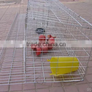 Automatic Chicken Layer Cage/Poultry Farm House/quail Cage thumbnail-5
